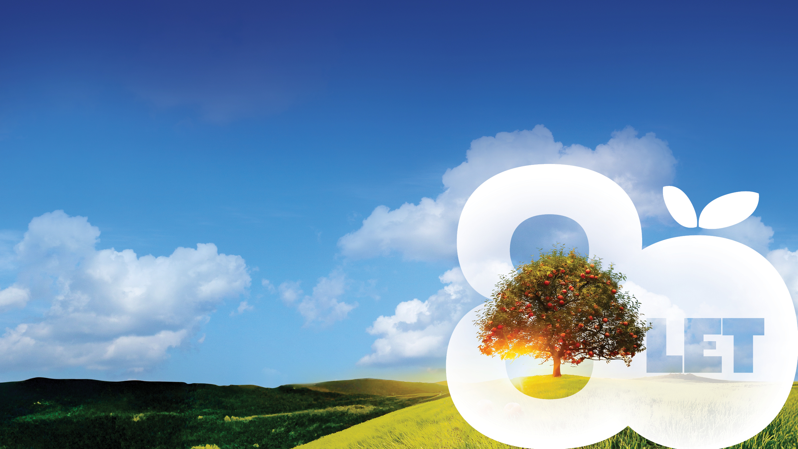 fructal background